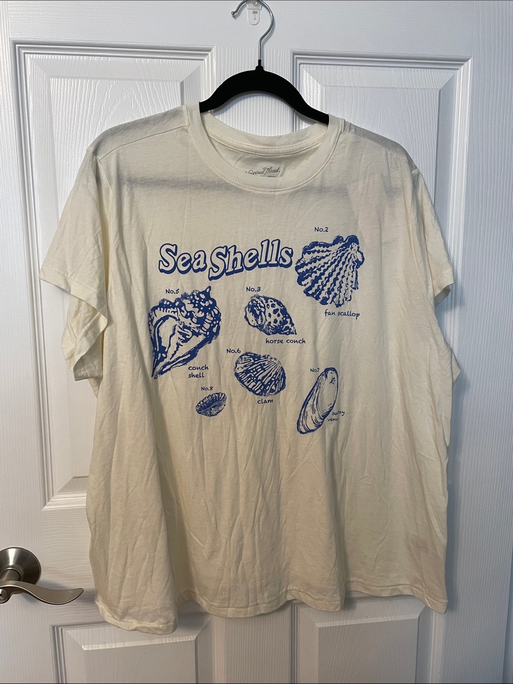 Wild Fable Sea Shells Graphic Tee - NWT 1X - Picture 2 of 10